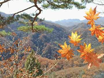 哈動(dòng)力最新招聘信息與高科技產(chǎn)品概覽