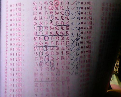 黃大仙三肖三碼必中三,全身心解答具體_YER50.153體驗(yàn)式版本