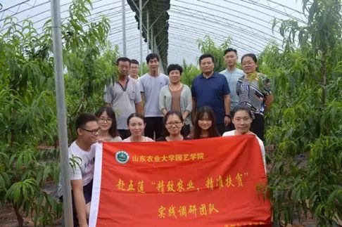 香港資料內(nèi)部資料精準(zhǔn),實踐調(diào)查說明_TYN50.750藝術(shù)版