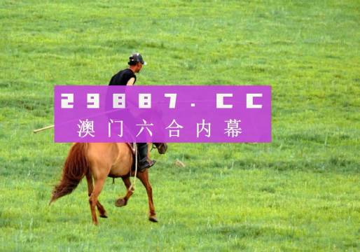 今晚澳門特馬開什么今晚四不像,社會責任實施_ZET50.521單獨版