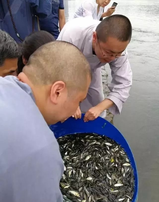 放生治病奇跡最新報道，見證生命轉變的神奇瞬間