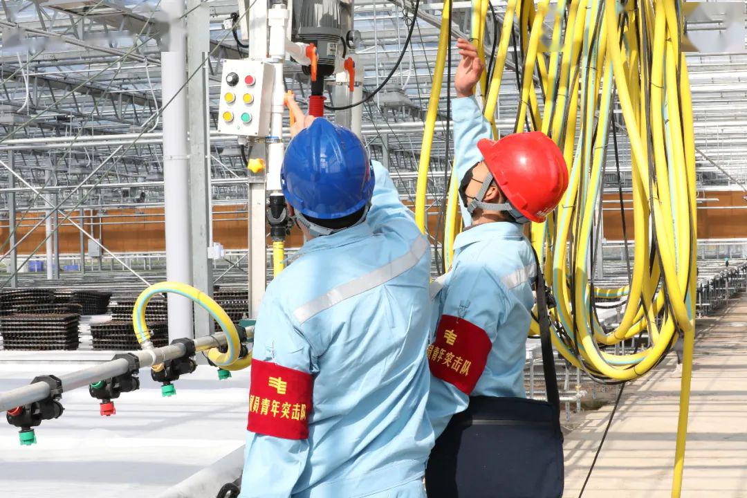 草海機(jī)場最新動(dòng)態(tài)揭秘，建設(shè)進(jìn)展、航班信息及未來展望