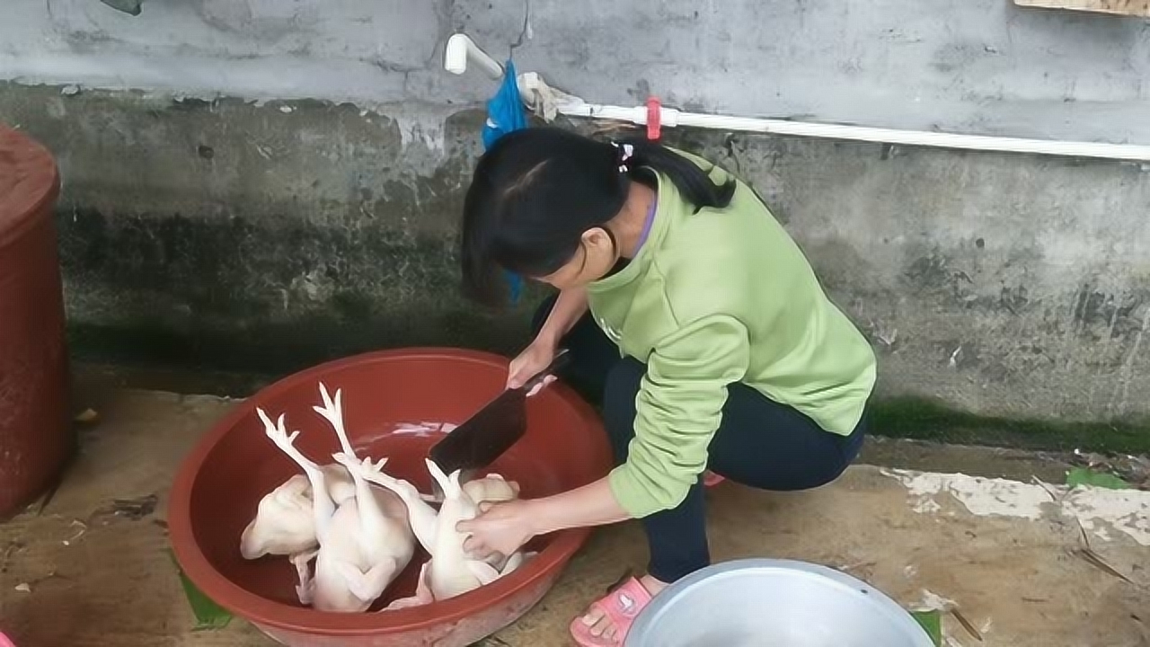 關(guān)于阿梅殺雞視頻的理性分析與網(wǎng)絡(luò)倫理道德探討，警惕涉黃內(nèi)容侵蝕社會倫理底線。