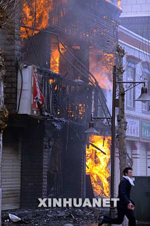 西藏最新事件，雪域高原的溫馨日常觀察