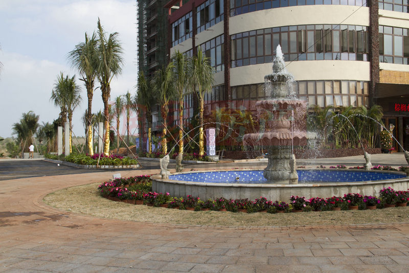 棕櫚水城最新動態(tài)，塑造理想生活新標桿！