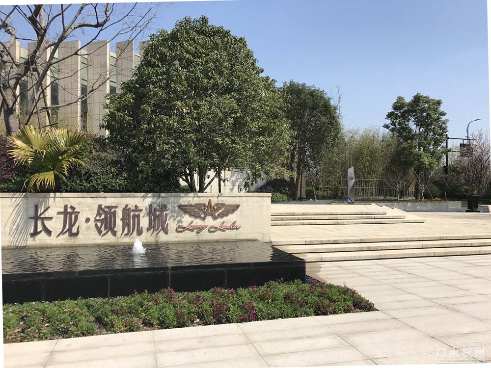 長龍領(lǐng)航最新動(dòng)態(tài)，駕馭變革，開啟知識海洋的勵(lì)志之旅