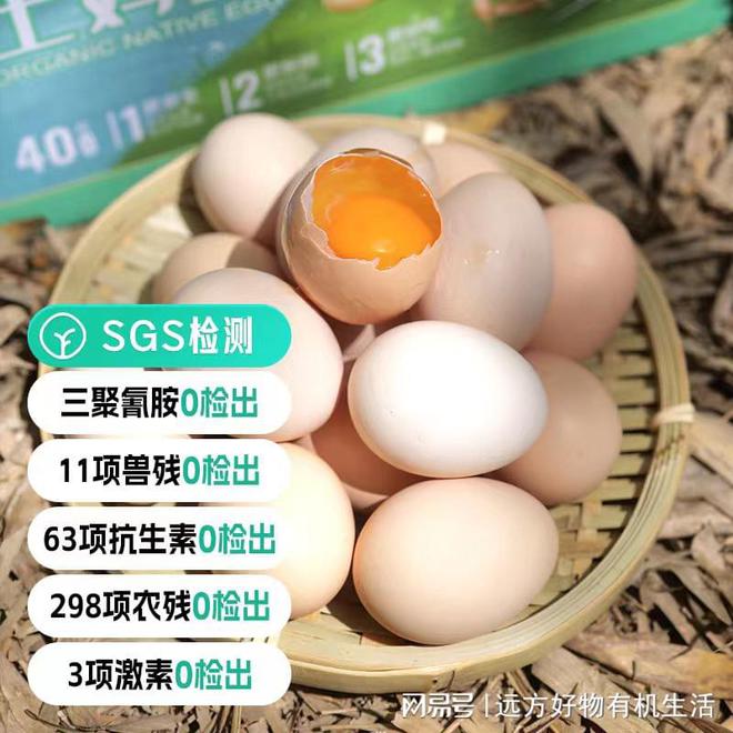 土雞蛋最新價(jià)格獲取與理解步驟指南