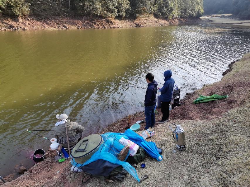 最新水庫釣魚視頻，探索釣魚樂趣與技巧全攻略