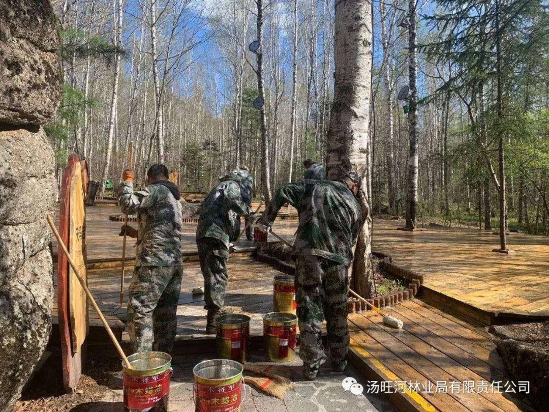 探尋神秘寶石世界的獨特魅力，最新奇石新聞報道