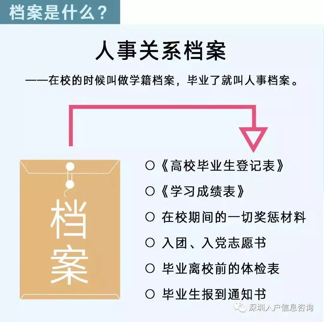 檔案人員補(bǔ)貼最新觀點(diǎn)論述，探討補(bǔ)貼政策與檔案人員發(fā)展的關(guān)系