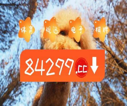 澳門天天彩正版免費(fèi)掛牌,實地驗證策略具體_EEN27.645設(shè)計師版