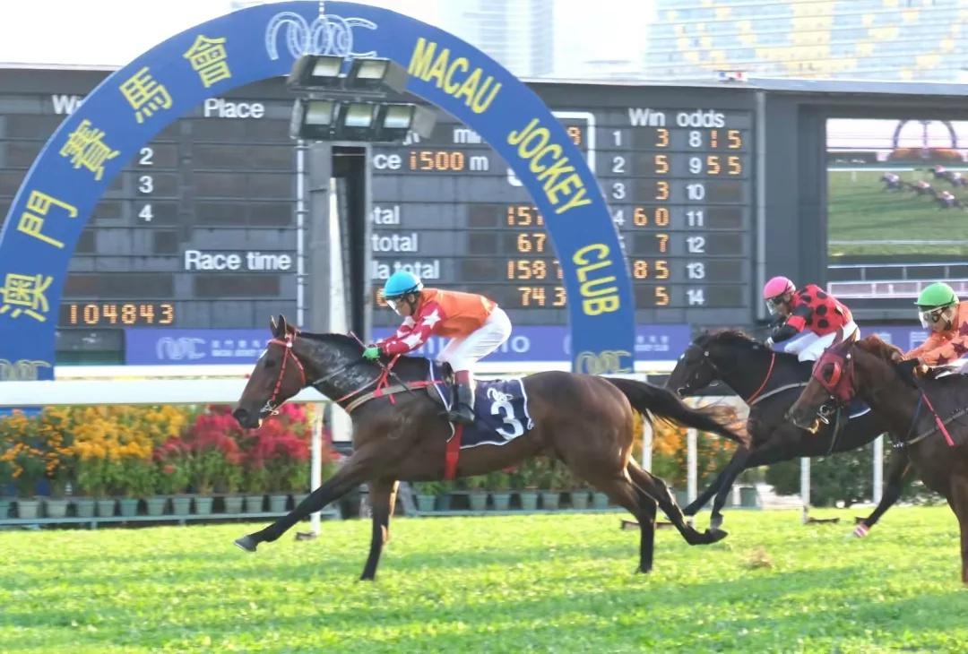 馬會澳門一傳真,專業(yè)解讀方案實施_CSF27.813原創(chuàng)版