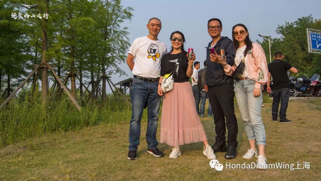 Arwen Gold最新動態(tài)，友誼的溫馨日常更新