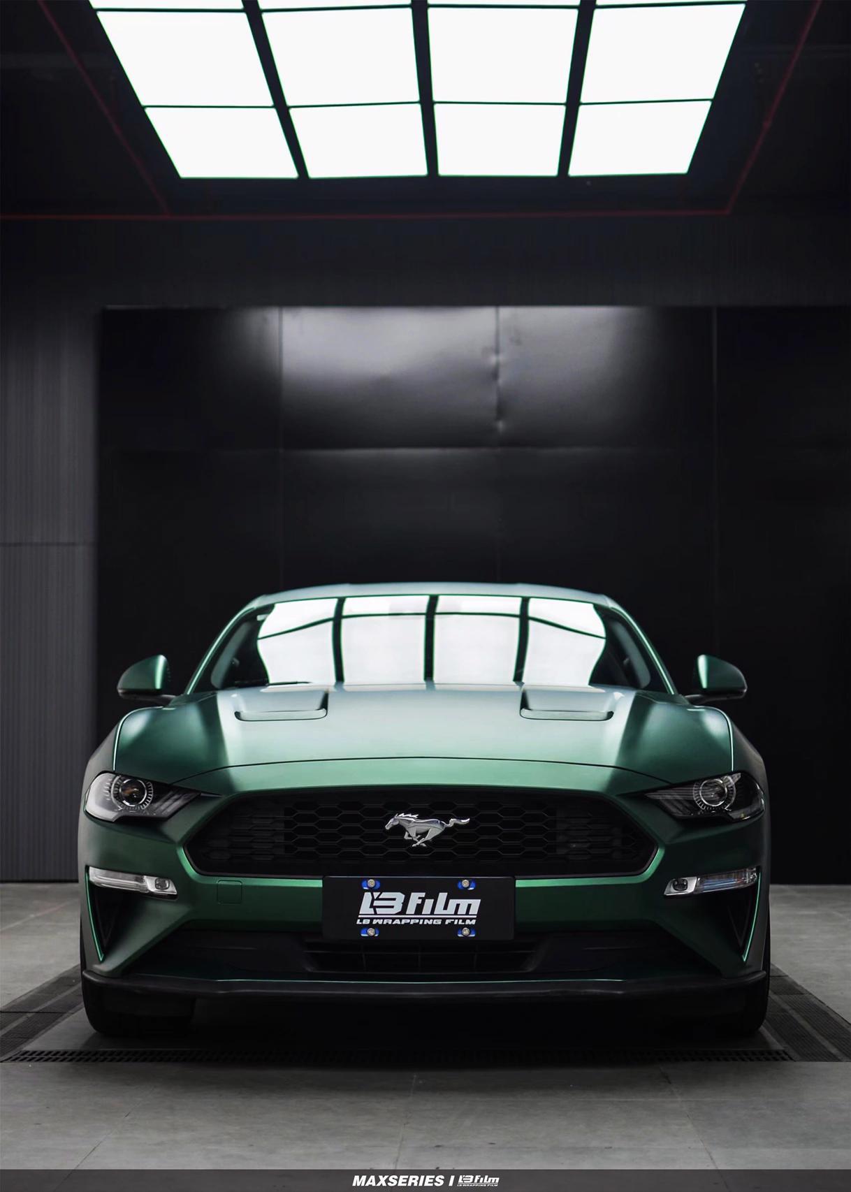 最新野馬汽車，技術(shù)革新與市場競爭的展現(xiàn)