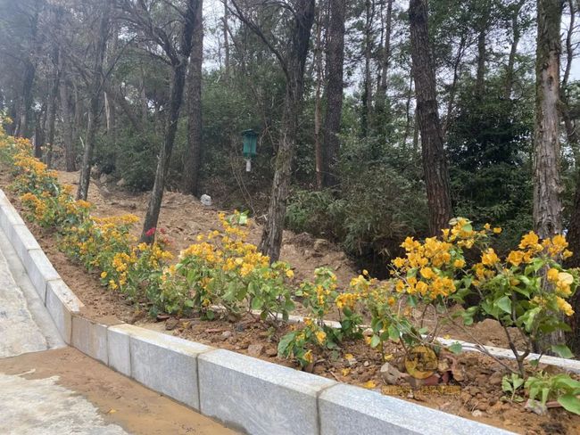 桂平手工，傳統(tǒng)與創(chuàng)新的完美交融