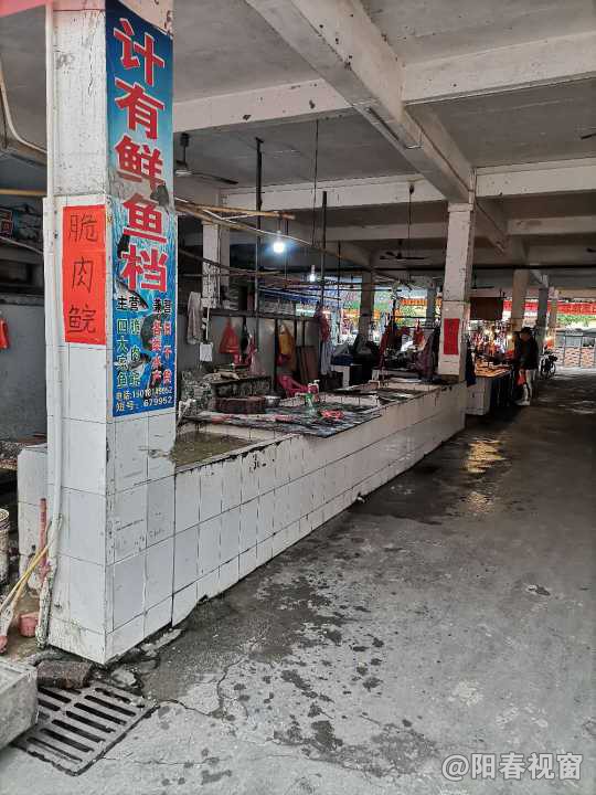 最新魚檔轉(zhuǎn)讓，把握商機，輕松開啟水產(chǎn)養(yǎng)殖事業(yè)之路