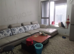 紫金最新租房信息揭秘，熱門房源一覽????