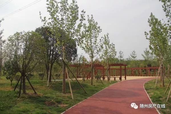 隨州桃園公園最新動態(tài)揭秘，驚喜連連，不容錯過！