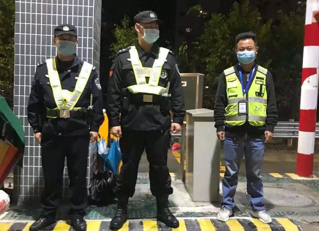 揭西生豬今日行情，最新價格、市場走勢及行業(yè)洞察分析