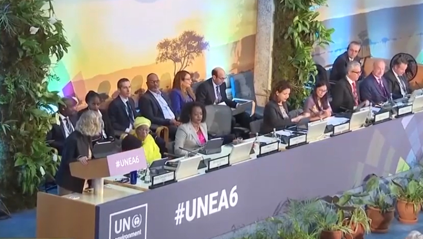 2024新奧門正牌資料大全,專家意見法案_TRL94.529夢想版