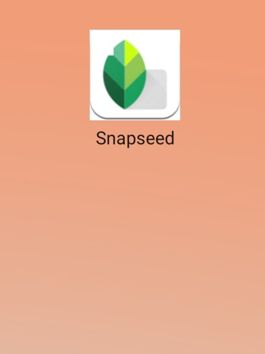 最新snapseed中文版，科技重塑影像，讓生活因攝影更精彩