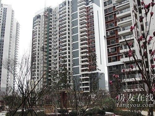 綠地長島公寓最新價格揭秘，小巷深處的隱藏寶藏