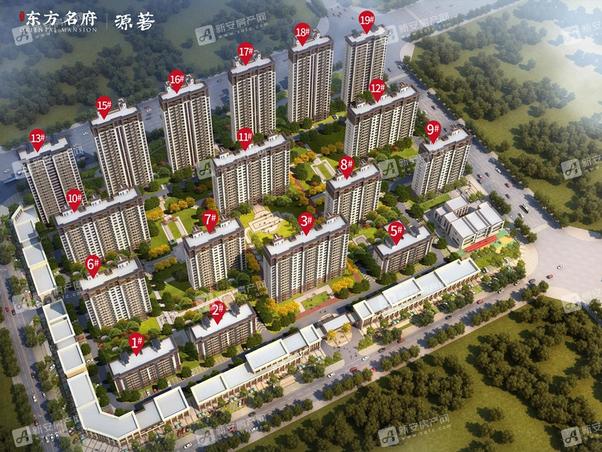 明光東郡最新動(dòng)態(tài)，友情的綻放與家的溫馨日常