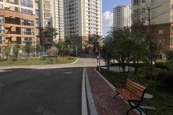 建禮家園最新動態(tài)，小巷中的隱藏瑰寶揭秘