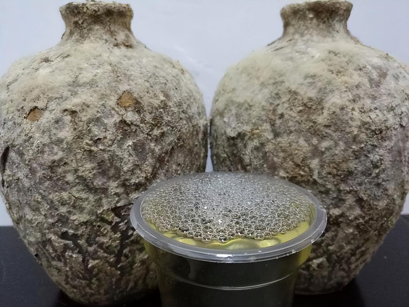 仁懷房屋出售最新信息，科技與家居融合，未來家居新體驗(yàn)重磅推出