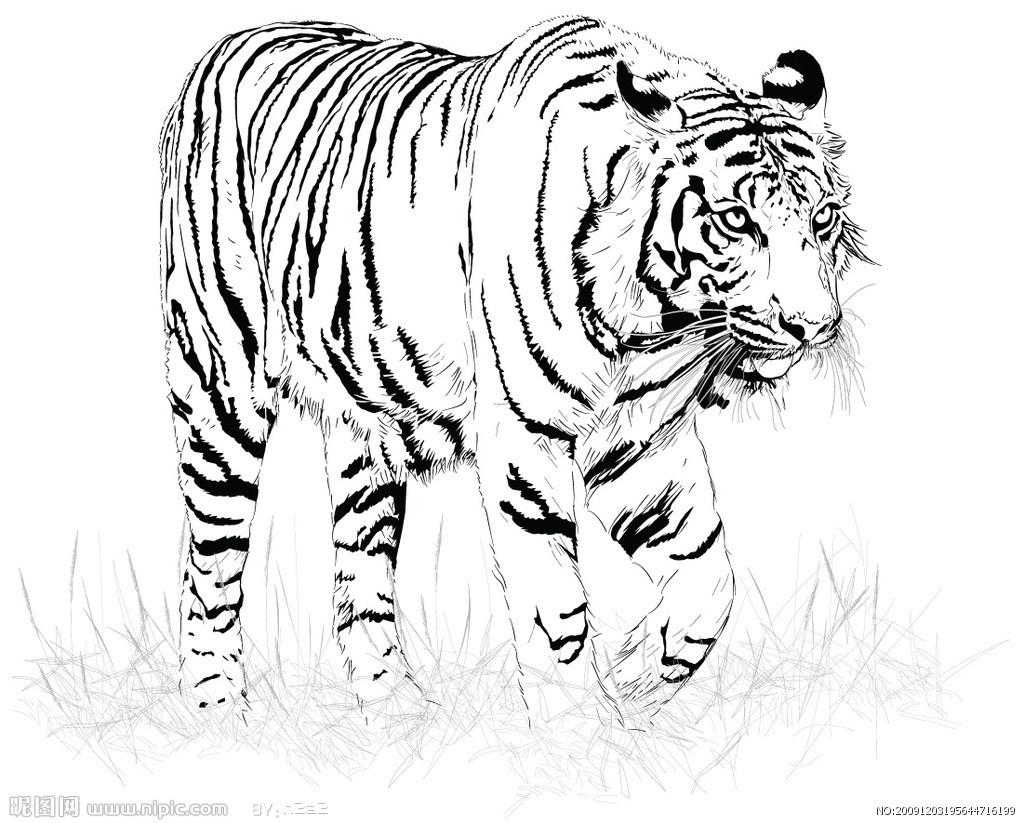 白老虎正版資料免費(fèi)中,綜合指數(shù)法_QTH85.428力量版