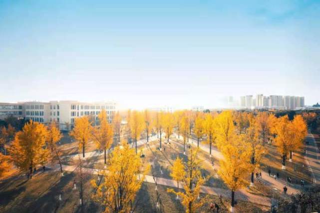 新澳2024今晚開獎資料澳門正版圖,科學(xué)解釋分析_KCD85.<strong><mark>48</mark></strong>2定義版