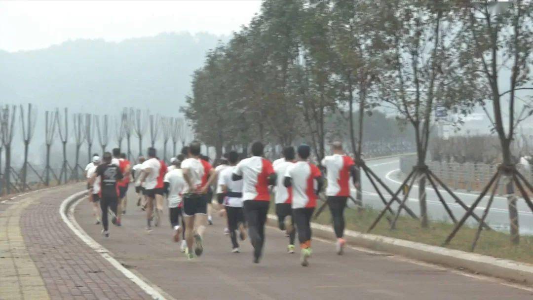 古田環(huán)湖路最新動(dòng)態(tài)揭秘，時(shí)代脈搏與城市發(fā)展的融合之路