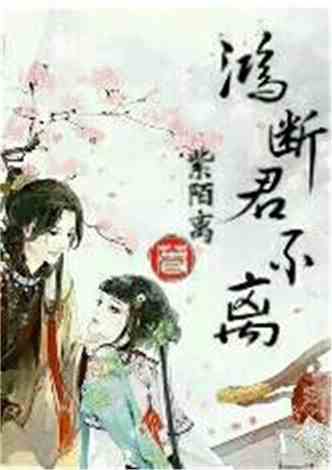 沈南汐最新小說，知識(shí)的力量，成就夢(mèng)想的翅膀之路