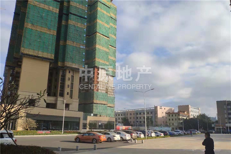 龍園大觀最新動態(tài)揭秘