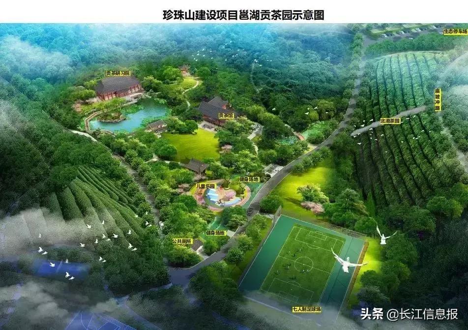 岳陽(yáng)北港小學(xué)最新動(dòng)態(tài)揭秘，校園新聞與活動(dòng)更新