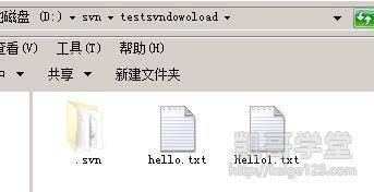 Jav最新網(wǎng)址探索，小巷深處的獨特風(fēng)味之旅