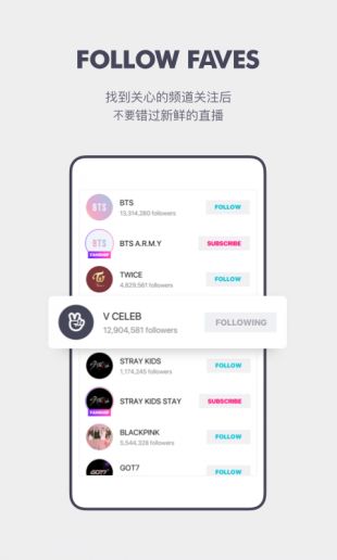 VAPP最新版下載，觀點(diǎn)論述與獲取渠道