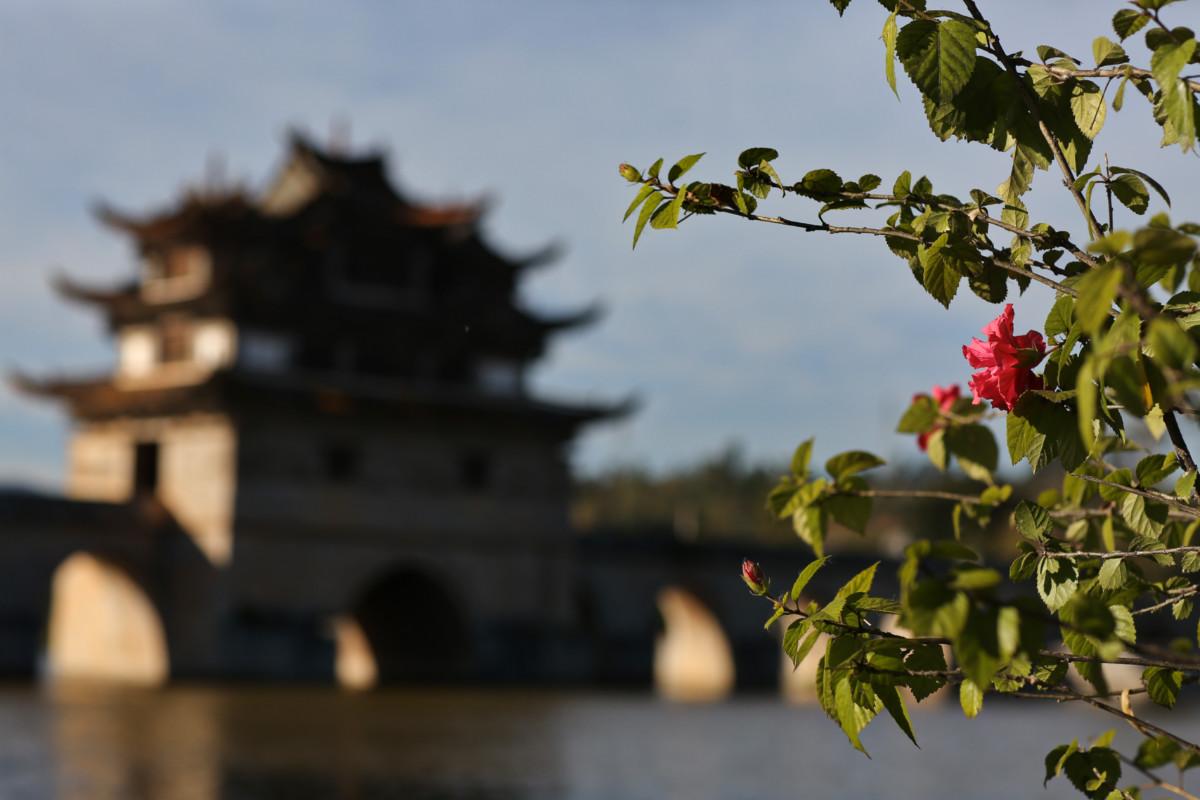 大冰最新力作，智能生活新紀(jì)元——科技與生活的完美融合