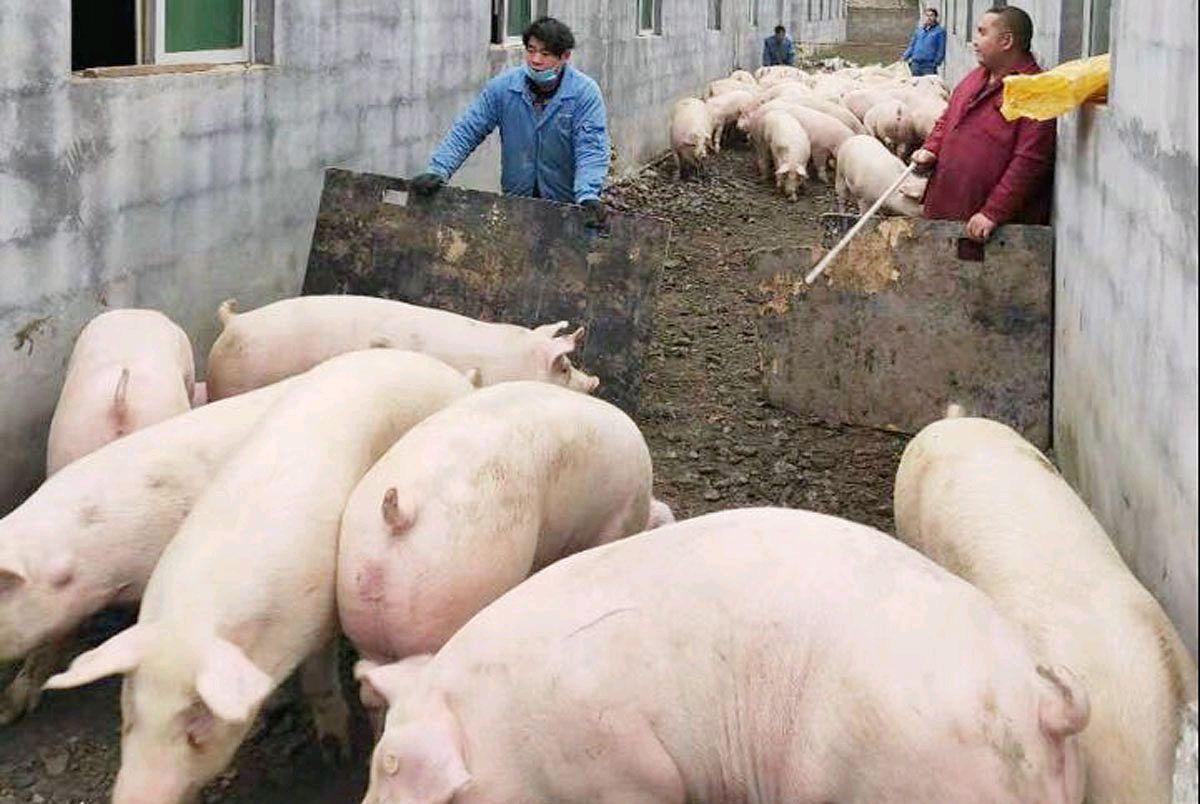 工程廠(chǎng)房燈具 第283頁(yè)