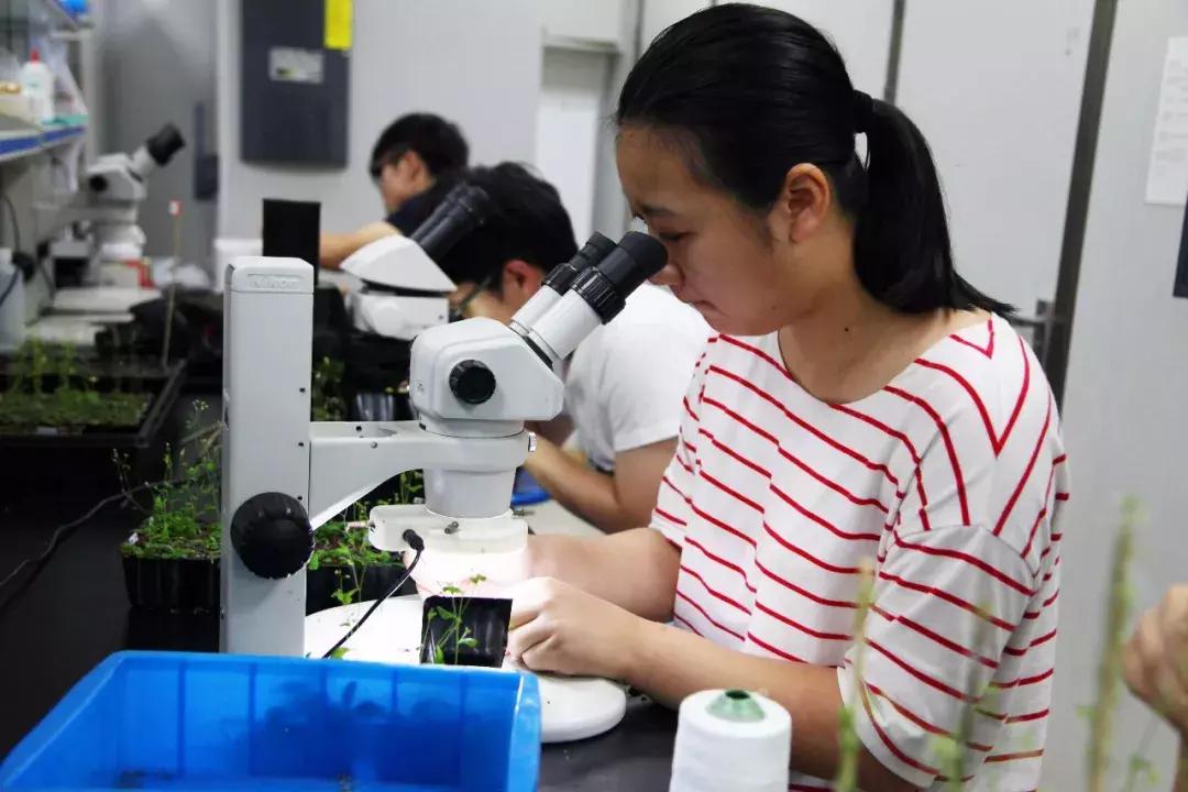 最新學科評估,最新學科評估引領(lǐng)科技革新——未來生活觸手可及的高科技產(chǎn)品介紹