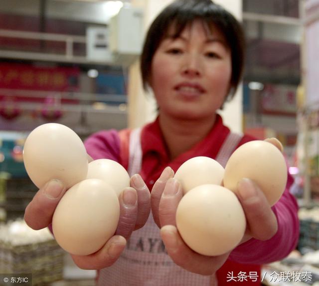 周口雞蛋今日最新價(jià)格，勵(lì)志故事背后的雞蛋價(jià)值探索