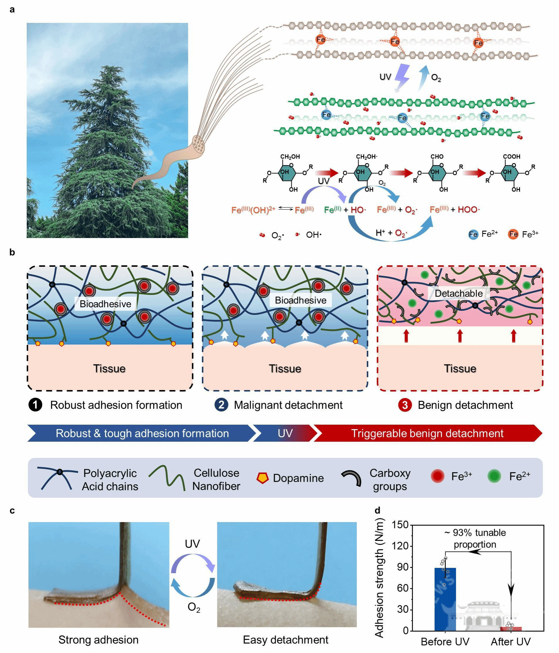 2024新澳門原料免費大全,創(chuàng)新策略設計_硬件版77.555