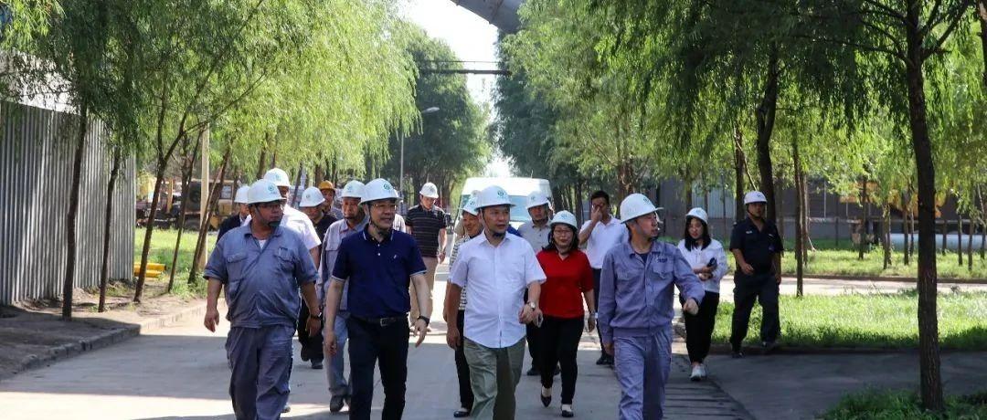 最新鍋爐工招聘信息揭秘，鍋爐工的溫馨日常故事探索