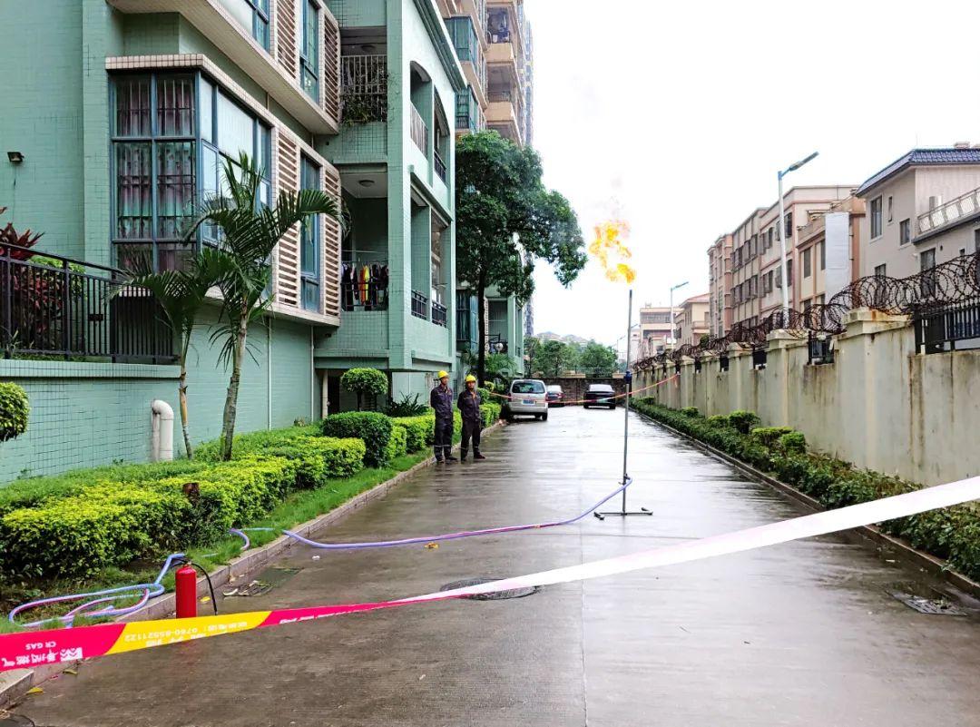 中山東鳳佛奧最新動態(tài)，自然美景的探索之旅，尋找內(nèi)心平和與寧靜