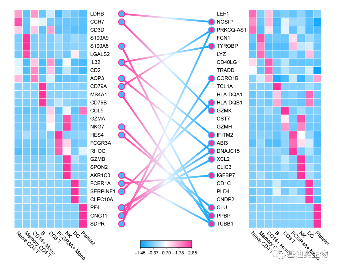 2024新澳門天天彩期期精準(zhǔn),高效性設(shè)計規(guī)劃_云端版11.924