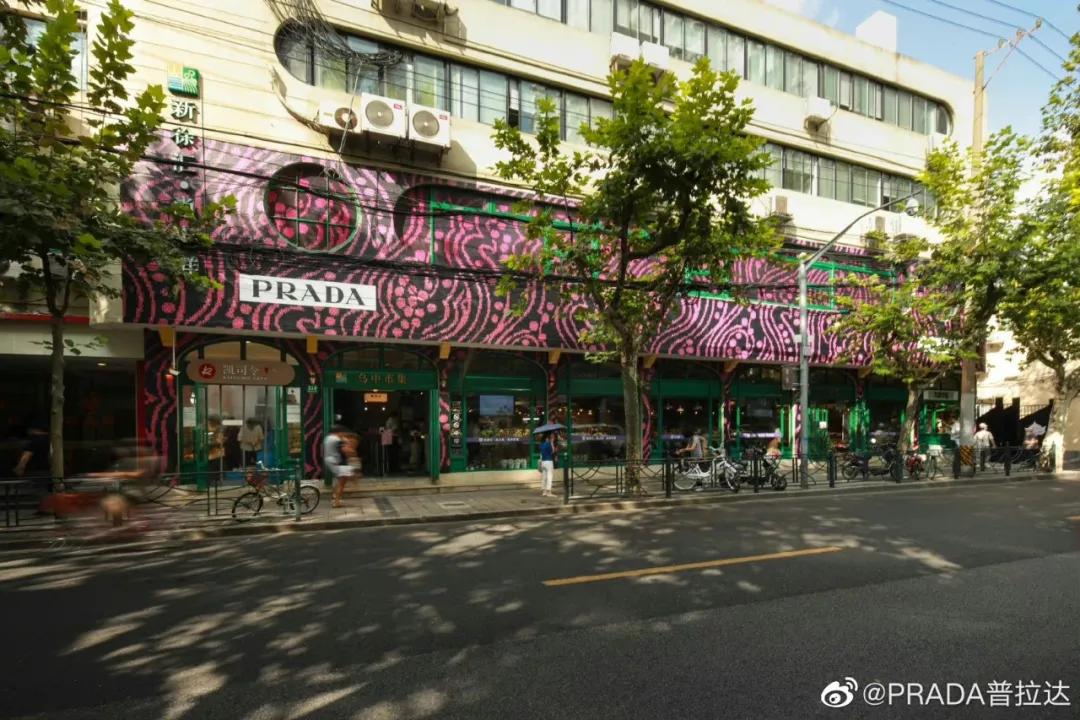東南坊扦遷最新動態(tài)，變化中的學(xué)習(xí)之旅，成就感的源泉