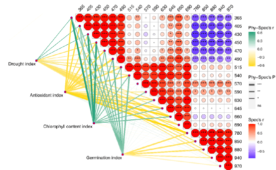 新澳門資料大全正版資料？奧利奧,科學(xué)解釋分析_增強版40.269