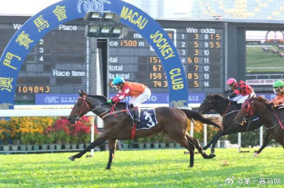 2024年澳門特馬今晚,標(biāo)準(zhǔn)執(zhí)行具體評價(jià)_知識版49.560