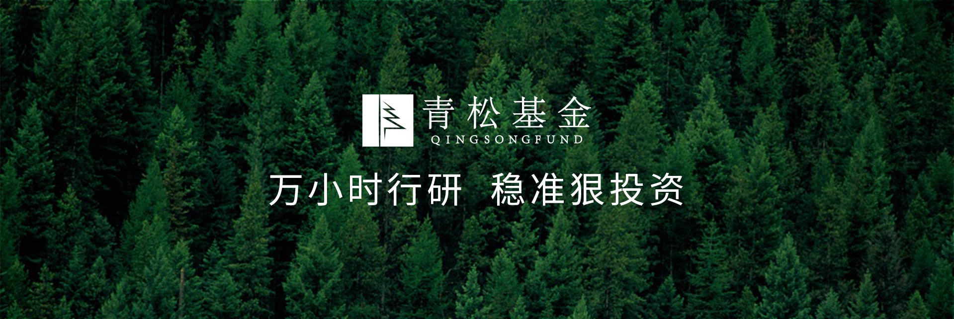 長(zhǎng)青樹(shù)眾籌最新動(dòng)態(tài)，背景、發(fā)展與時(shí)代地位探索