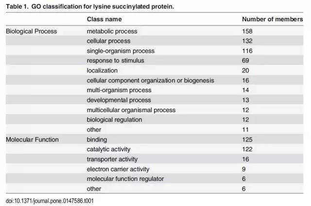奧門開獎結(jié)果+開獎記錄2024年資料網(wǎng)站,精細(xì)化方案決策_(dá)云技術(shù)版74.496